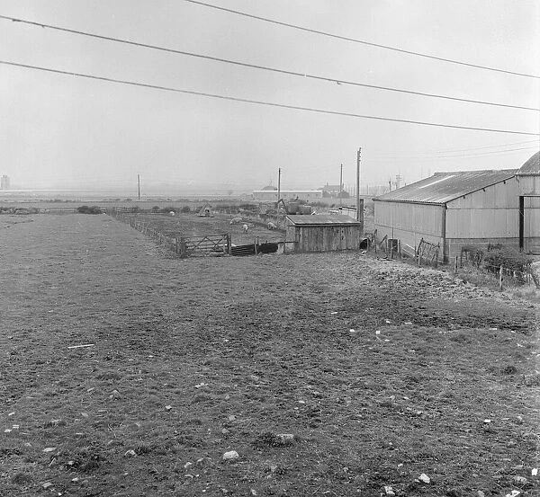 Pig Farm, Teesside, Circa 1973