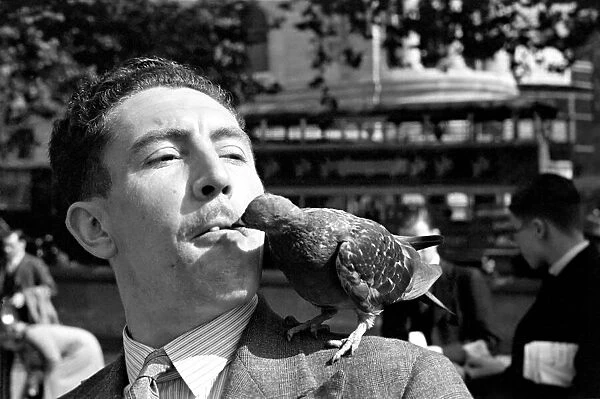 Pigeons in Trafalgar Square. January 1939 OL307J-002