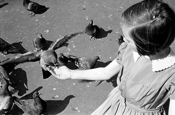 Pigeons in Trafalgar Square. January 1939 OL307J-004