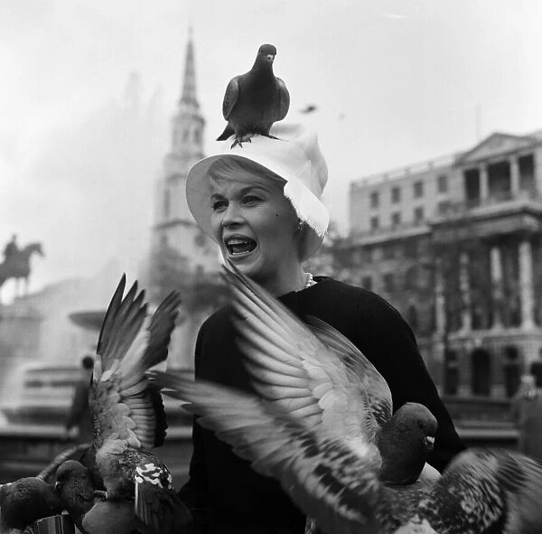 When pink Dorothy Provine arrived in London today she wanted to see the town