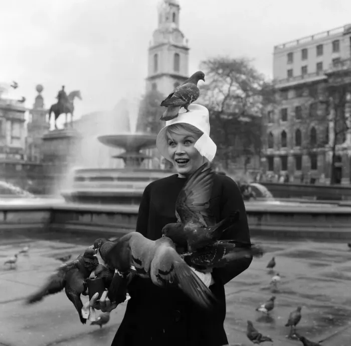 Framed Print : When pink Dorothy Provine arrived in London today she wanted to see the town