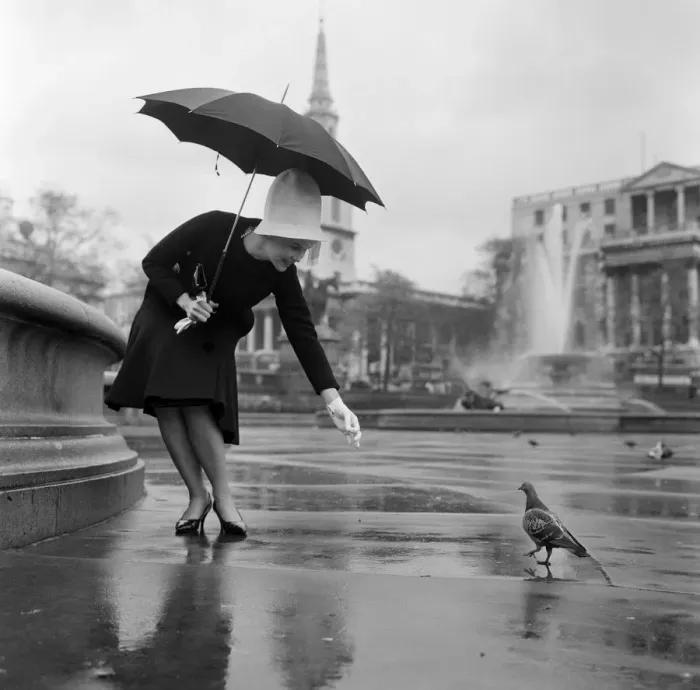 Framed Print : When pink Dorothy Provine arrived in London today she wanted to see the town Framed Print : When pink Dorothy Provine arrived in London today she wanted to see the town