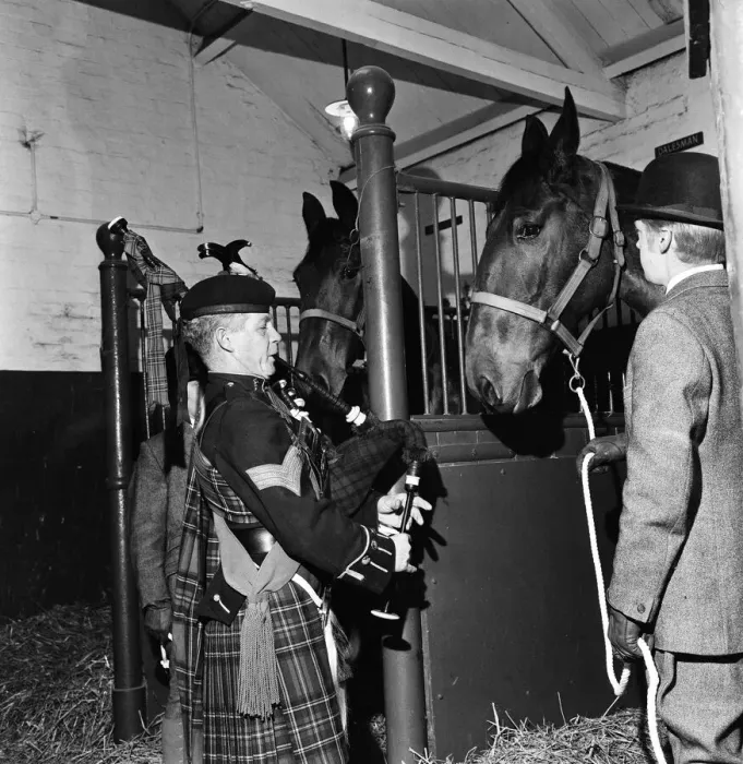 Framed Print : Piper Mitch Mitchinson plays bagpipes to Newcastle Brewery dray horses to get them used