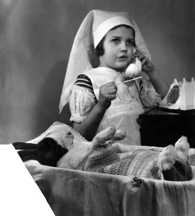 Framed Print : Playing Doctors & Nurses, a young girl looks after her sick patient, a Blue Dutch rabbit