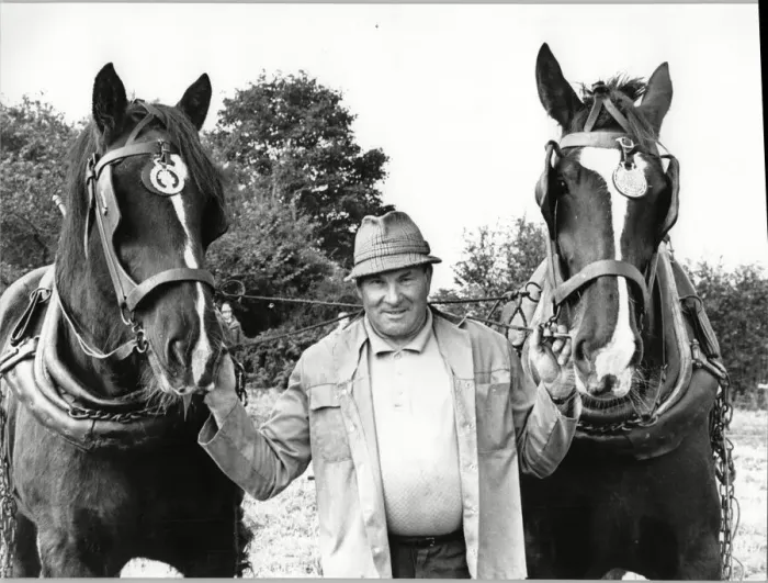 Framed Print : Ploughing champion Thomas Cliff with his horses at the Brailsford