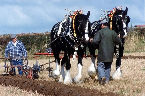 Ploughing - Dead ahead... competitors from England, Scotland