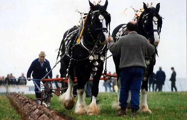 Ploughing - Horse power came back into its own in Wales at the weekend with a return to