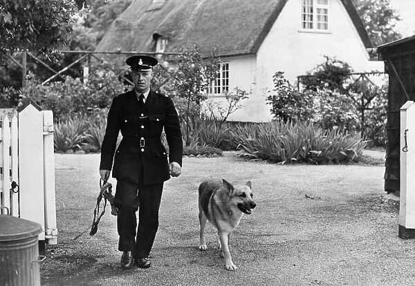 A police dog with handler in Cambridge, 1965