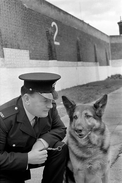 Police: Dog major with handler Gerald Ewing. March 1975 75-01234-004