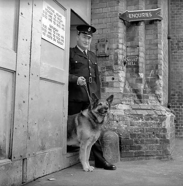 Police: Dog major with handler Gerald Ewing. March 1975 75-01234-001