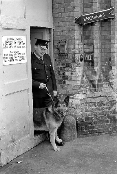 Police: Dog major with handler Gerald Ewing. March 1975 75-01234-005