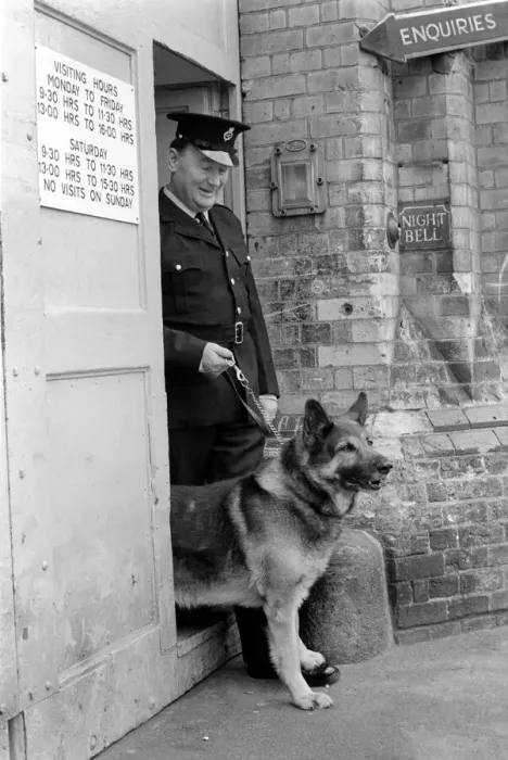 Framed Print : Police: Dog major with handler Gerald Ewing. March 1975 75-01234-002
