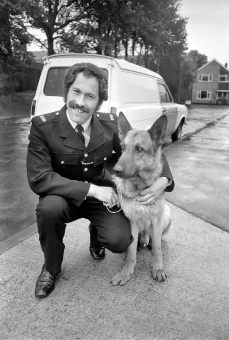 Framed Print : Police dog Musk commended by a judge at Reading after hearing how the dog had discovered