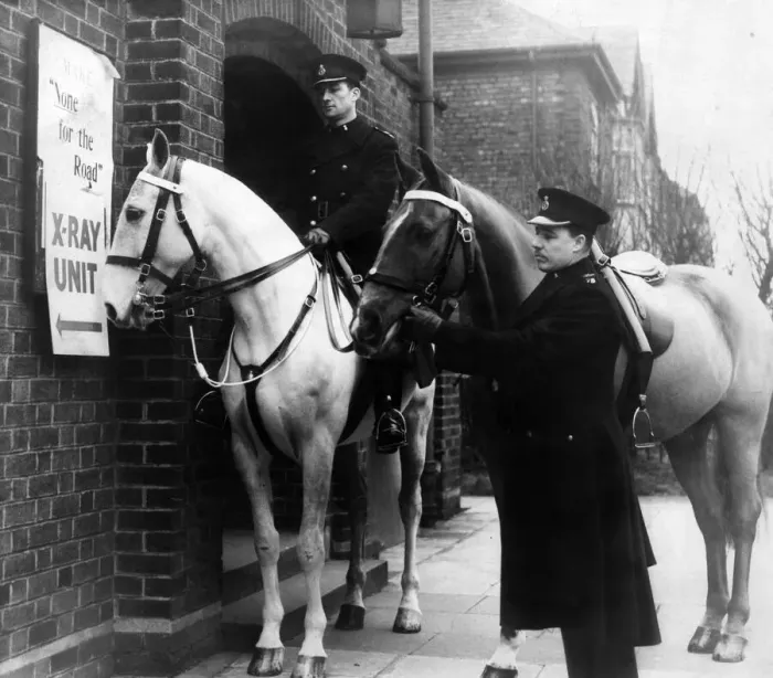 Framed Print : Police horses at an X-ray unit. Hobsons choice wonders what it is all about when Framed Print : Police horses at an X-ray unit. Hobsons choice wonders what it is all about when