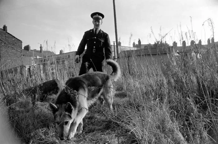 Framed Print : Police man and dog search for a man on the run at Droylsden Framed Print : Police man and dog search for a man on the run at Droylsden