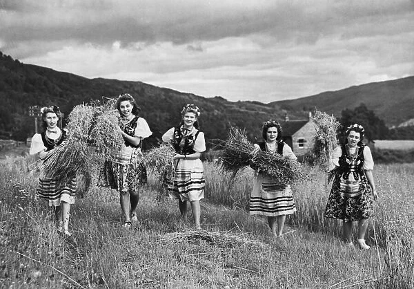 Polish girls farming in Scotland during the Second World War. 8th September 1942