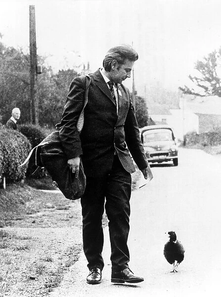 Postman Jim Burgess with the pheasant that follows him up the garden path