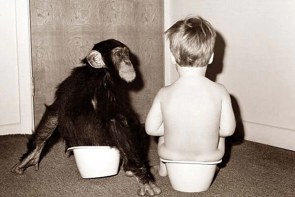 Potty Training - this young chimp joins his young friend for potty training