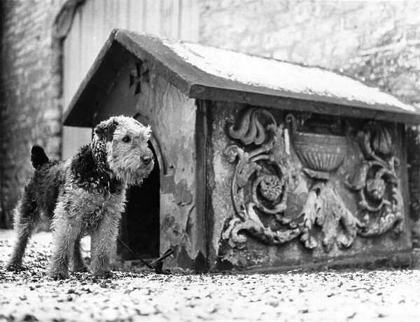 Preseved for Posterity, The Stately Dog Kennel: Today, this dog kennel occupies a special