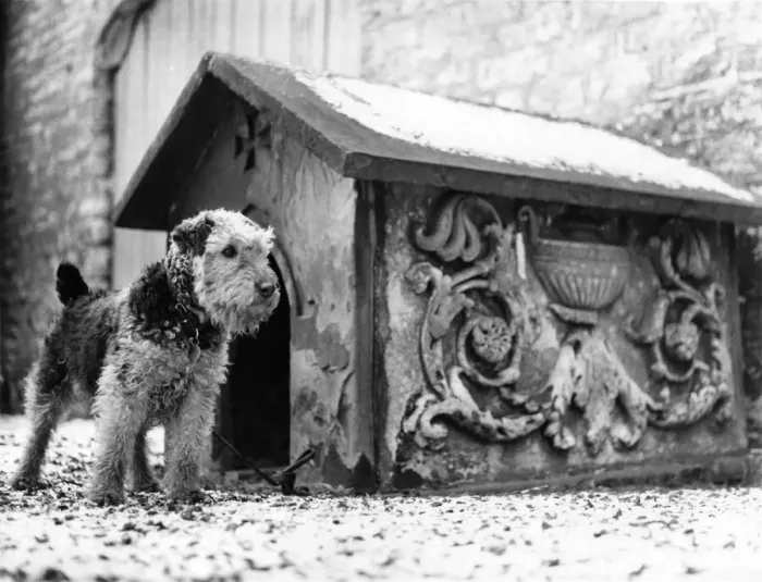 Framed Print : Preseved for Posterity, The Stately Dog Kennel: Today, this dog kennel occupies a special