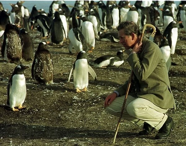 Prince Charles kneels on Seal Island in March 1999 in the Falklands with