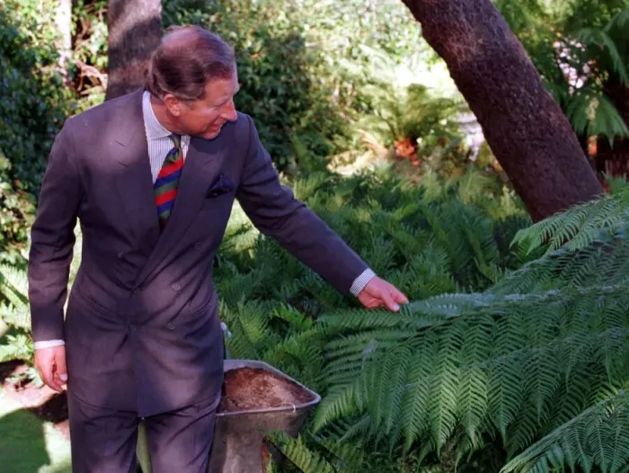 Framed Print : Prince Charles Logan Botanics Gardens 1999 Scotland looking at tree he has