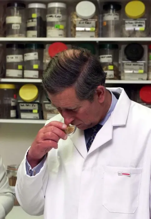 Framed Print : Prince Charles makes Herbal Medicine at University of Westminster. Wearing lab coat Framed Print : Prince Charles makes Herbal Medicine at University of Westminster. Wearing lab coat