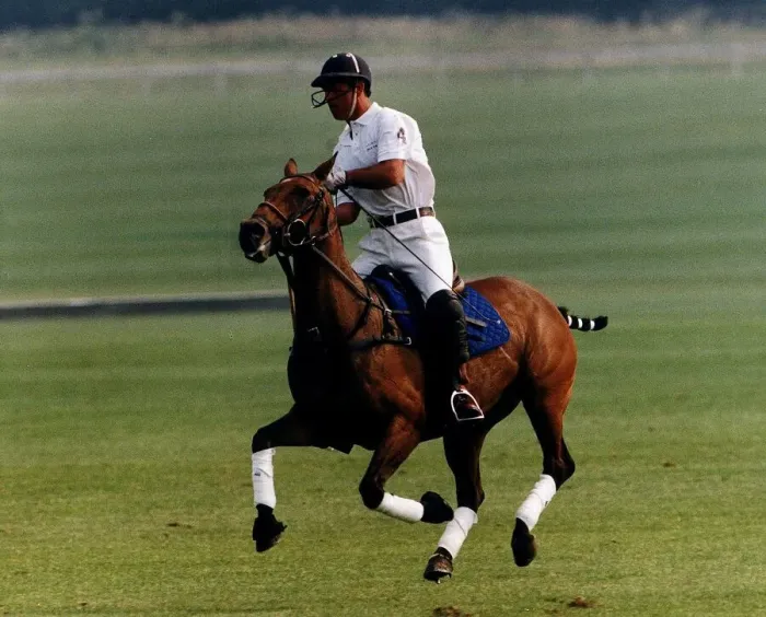 Framed Print : Prince Charles playing polo at Cirencester in 1993