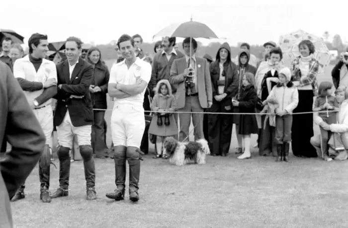 Framed Print : Prince Charles playing polo. June 1977 R77-3218-017 Framed Print : Prince Charles playing polo. June 1977 R77-3218-017