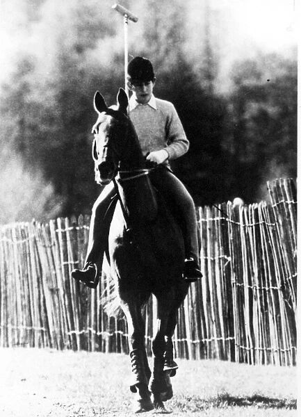 Prince Charles - The Prince of Wales tries his hand at polo in Windsor Great Park 22