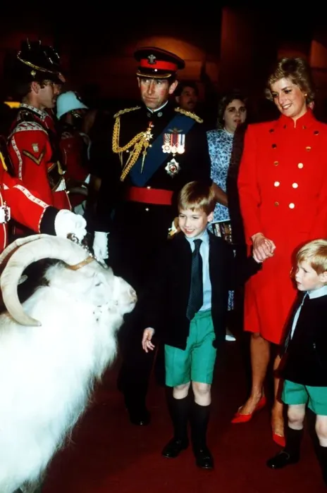 Framed Print : Prince Charles, Princess Diana and Prince William and Prince Harry at the royal Framed Print : Prince Charles, Princess Diana and Prince William and Prince Harry at the royal