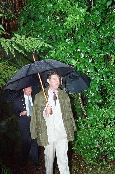 Prince Charles in the rain on the Kahikatea Walk, Lake Kaniere conservation area