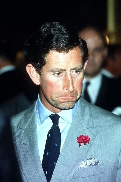 Prince Charles at reception for anglo-Netherlands Society July 1988