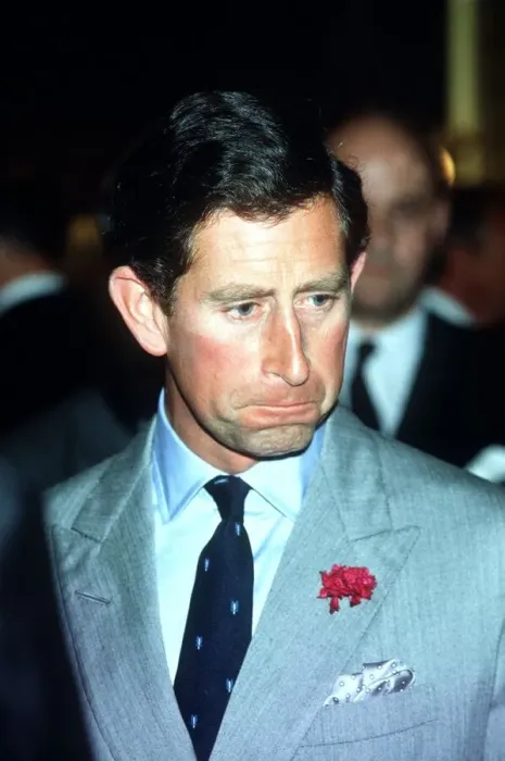 Framed Print : Prince Charles at reception for anglo-Netherlands Society July 1988 Framed Print : Prince Charles at reception for anglo-Netherlands Society July 1988