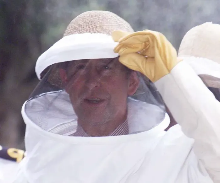 Framed Print : Prince Charles wearing a bee protection suit in March 1999, during his visit of Argentina Framed Print : Prince Charles wearing a bee protection suit in March 1999, during his visit of Argentina