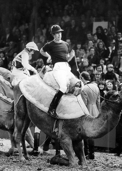 THE PRINCE OF WALES DISMOUNTS FROM A CAMEL at London Olympia. 14  /  12  /  1979