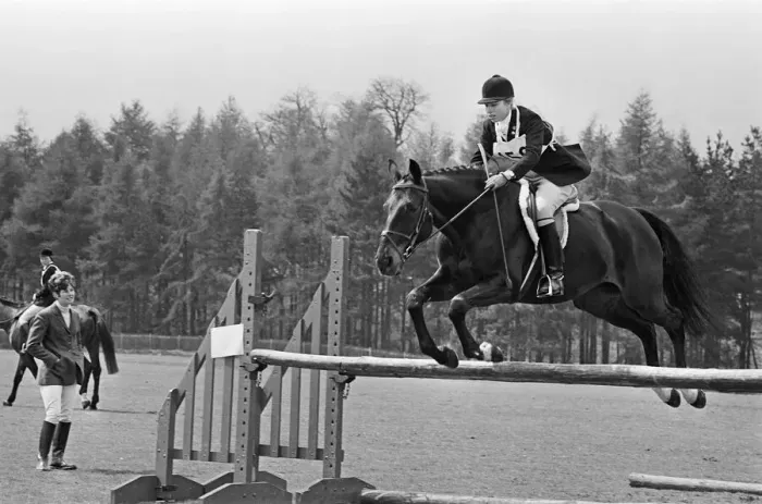 Framed Print : Princess Anne, The Princess Royal, competing in a showjumping event t Windsor Great Park