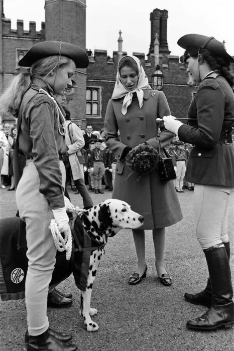 Framed Print : Princess Anne visits the Horse Rangers of the Commonwealth at Hampton Court Palace Framed Print : Princess Anne visits the Horse Rangers of the Commonwealth at Hampton Court Palace