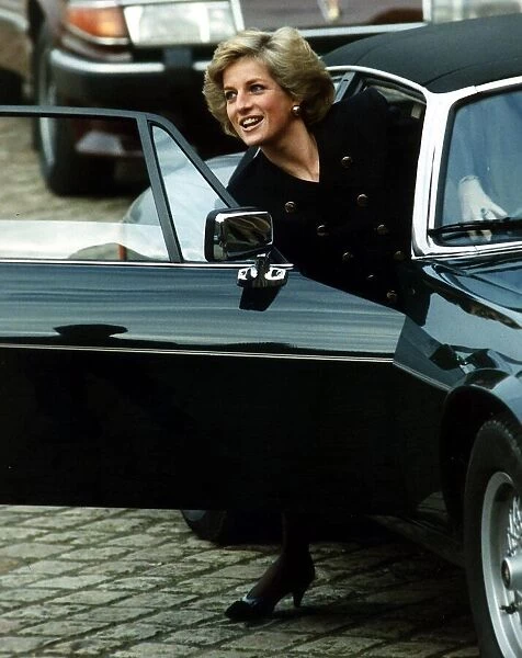 Princess Diana arrives at Bleinheim palace for a charity auction. 6th November 1988