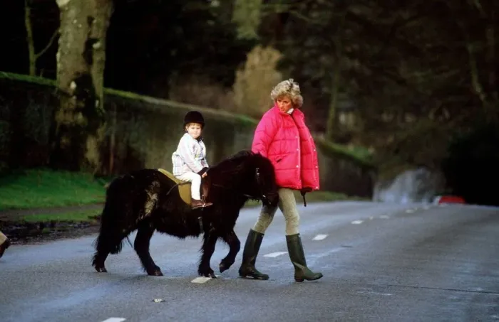 Framed Print : Princess Diana leading a young Prince Harry and his shetland pony across the road Framed Print : Princess Diana leading a young Prince Harry and his shetland pony across the road