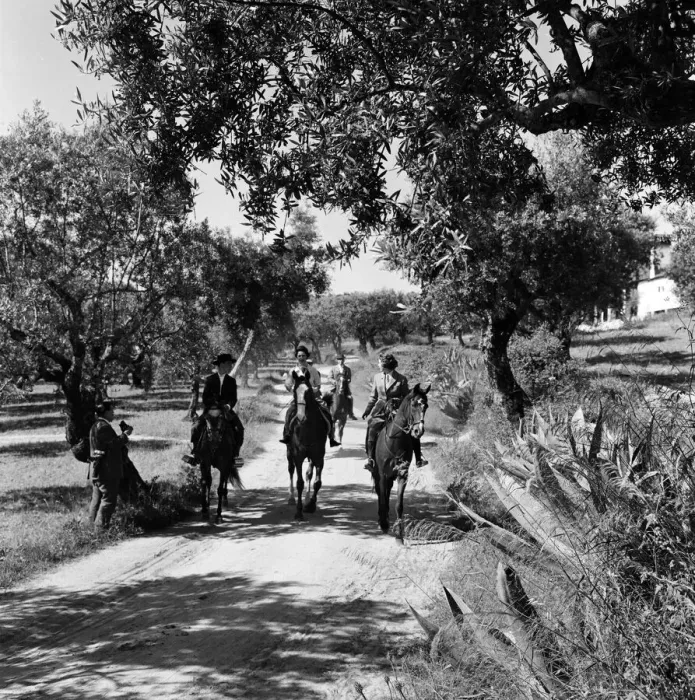 Framed Print : Princess Margaret visits Portugal. The Princess riding through the groves of Count Nova Framed Print : Princess Margaret visits Portugal. The Princess riding through the groves of Count Nova
