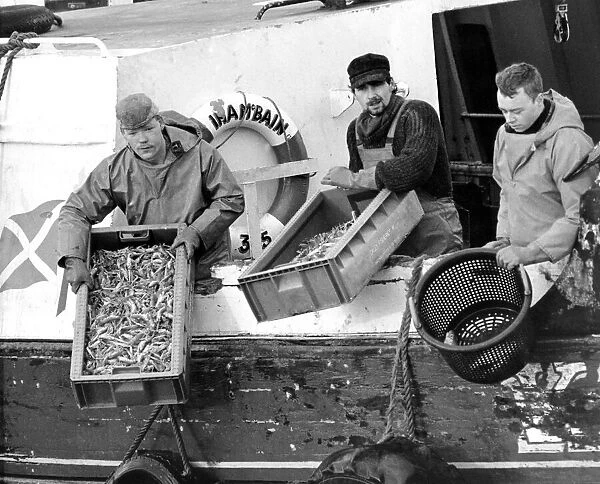 Protesting fishermen at Blyth with their meagre catch in 1990