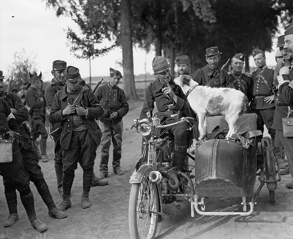Prusco, a Belgian police dog, leaves for the front with the French Army