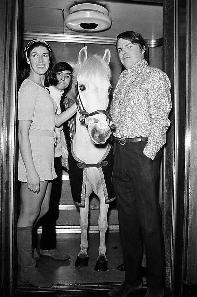 'Puff'a Welsh mountain pony in a lift with, left to right, Susan Stranks