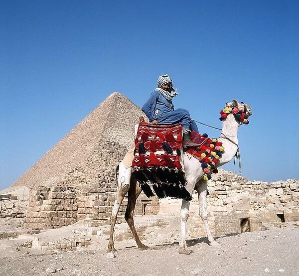 Pyramid Giza Egypt man on camel
