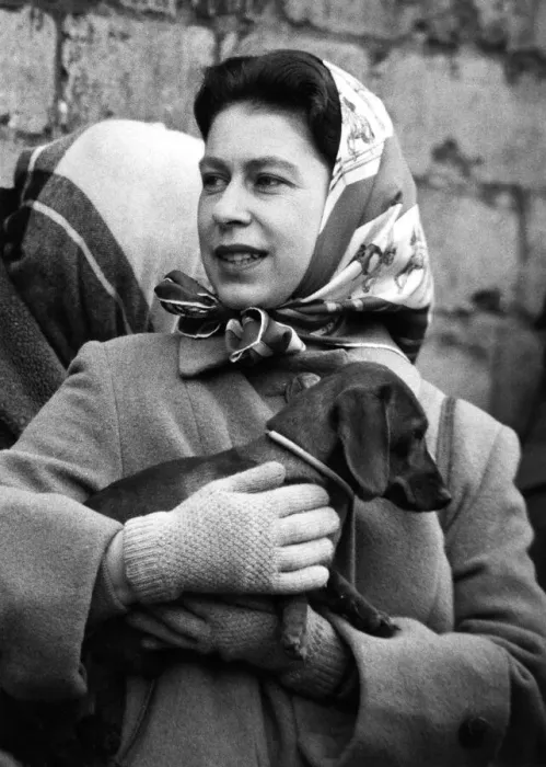 Framed Print : Queen Elizabeth II at the Badminton Horse Trials, held 18th to 19th April 1958 Framed Print : Queen Elizabeth II at the Badminton Horse Trials, held 18th to 19th April 1958