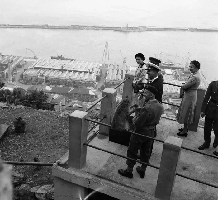 Framed Print : Queen Elizabeth II and Prince Philip at Gibralta May 1954 stand on the viewing