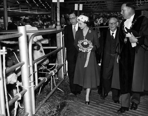Queen Elizabeth II visits a cattle market in Herefordshire. 24th April 1957