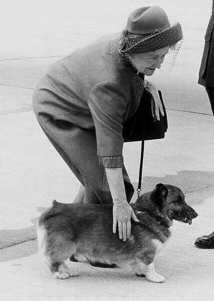 Queen Mother, May 1983 At Airport for her stay at Balmoral With her Corgi