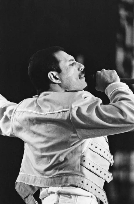 Framed Print : Queen (rock group) perform at St James Park, Stadium, Newcastle, England Framed Print : Queen (rock group) perform at St James Park, Stadium, Newcastle, England